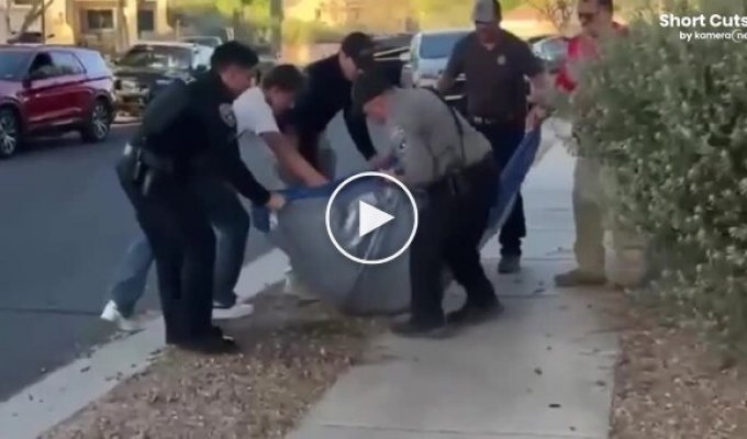 Arizona police caught a falling bear.