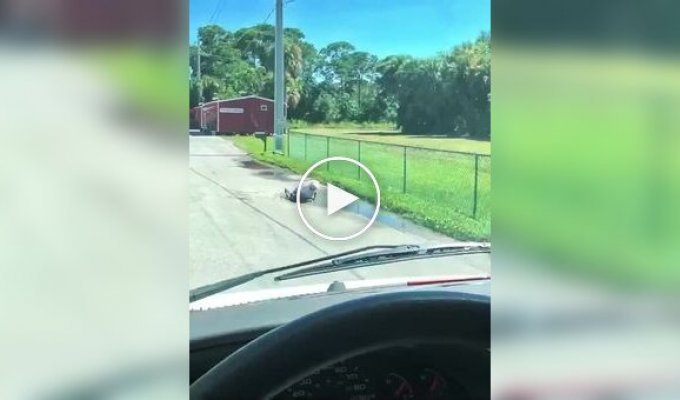 Пожилая женщина лежала лицом в луже, пока случайный прохожий не пришел на помощь