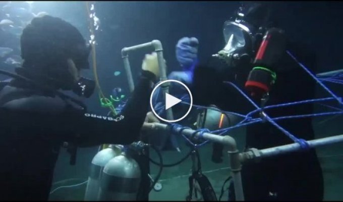 Египетский дайвер провел под водой почти 146 часов