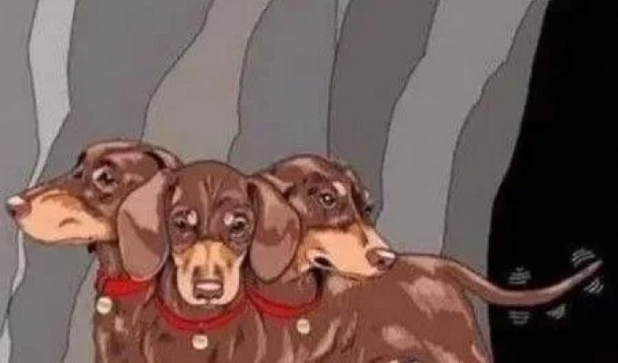 Лучшие шутки и мемы из Сети. Выпуск 714 (161 картинок)