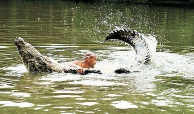 Смертельная дружба человека с крокодилом (14 фото)