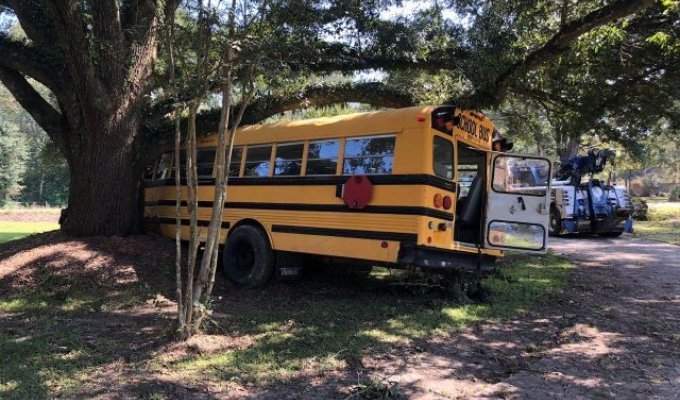 В США 11-летний мальчик угнал школьный автобус (3 фото + 2 видео)