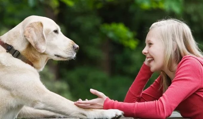What Your Dog Is Telling You (9 photos)