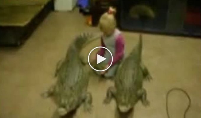 В Питере, 4-летний ребенок живет с двумя крокодилами