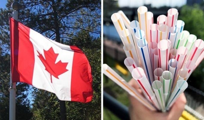 Чтобы уменьшить загрязнение окружающей среды, Канада запрещает одноразовый пластик (8 фото)