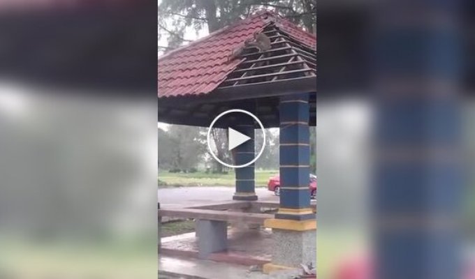 A Foreman Was Dissatisfied with His Work