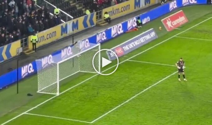 Белка посетила футбольный матч