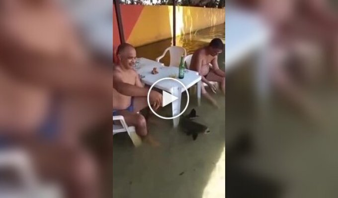 Пиво с рыбкой