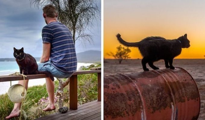 Парень уже три года путешествует по Австралии со своей кошкой (20 фото)