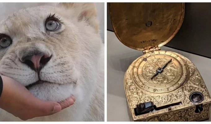 18 Amazing Things, Phenomena, and People That Will Make You Rethink Our Perceptions of the World (19 photos)