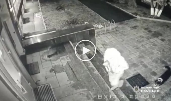 В полицию Вышгорода подбросили щенка
