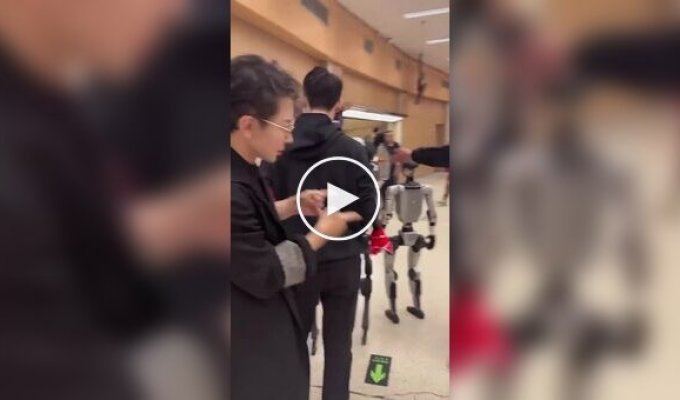 Робот не стал здороваться с человеком