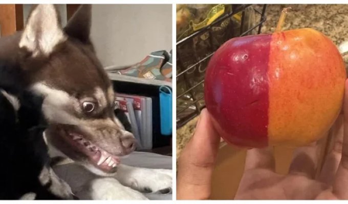 30 Cool Things We Walk Right Past Without Even Realizing It (31 Photos)