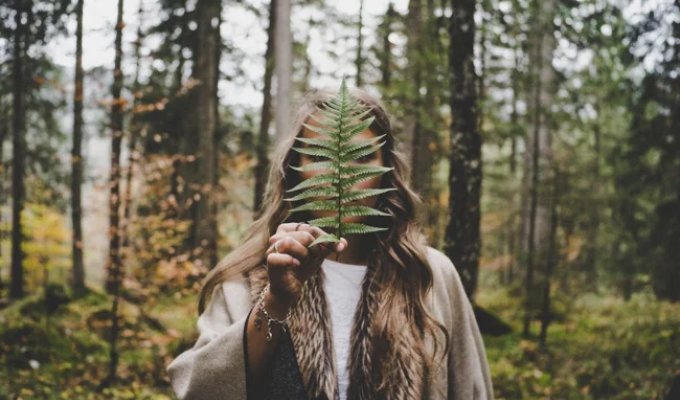 The Japanese Art of Shinrin-yoku, or How to Properly Walk in the Forest (6 photos)
