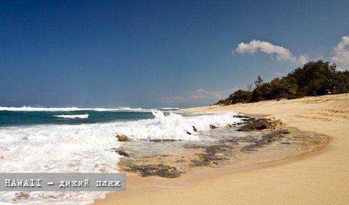 Hawaii: дикий пляж (22 фото)