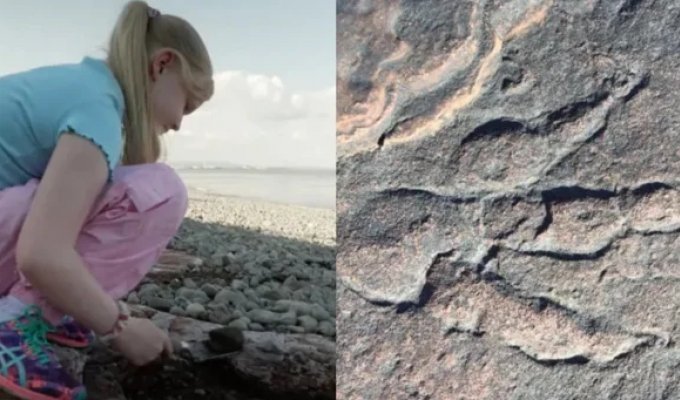 A girl found dinosaur footprints aged 200 million years (5 photos)