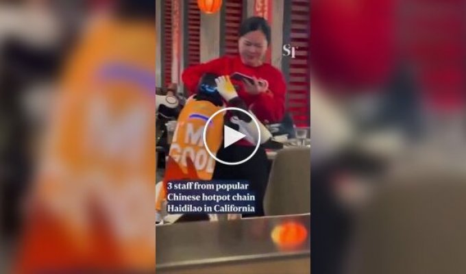 Сломавшийся робот повеселил клиентов ресторана