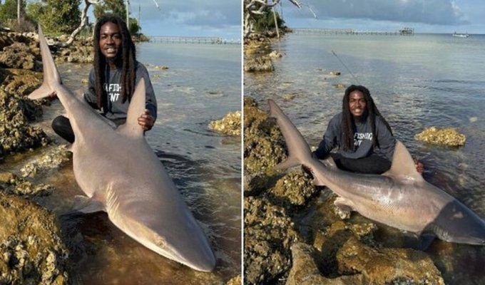 A Florida fisherman catches sharks with his bare hands and poses with them (4 photos + 2 videos)