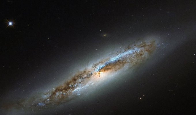 Астрономы засекли странные сигналы от звезды Росс 128 (2 фото)