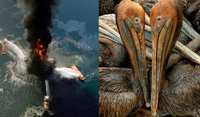 Взрыв нефтяной платформы в Мексиканском заливе году назад (30 фото)