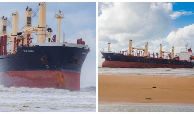 The cargo ship "Blue Shark", which ran aground after a storm near the village of Vityazevo, may remain there forever (5 photos + 2 videos)