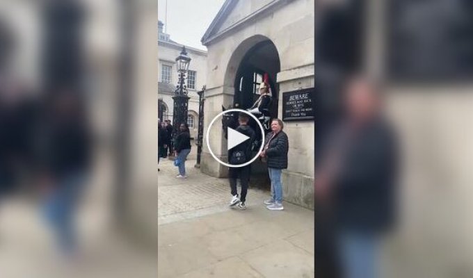 The police caught a prankster poking a microphone under the nose of a Royal Guard horse