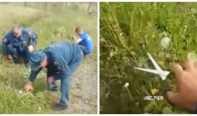 Российских пожарных заставили косить траву маникюрными ножницами (1 фото + 2 видео)