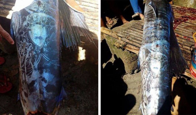 На Филиппинах выловили «татуированную» рыбу и никто не знает, откуда взялись эти рисунки (5 фото)