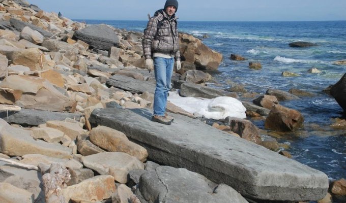 Древняя каменная плита с металлическими вкраплениями на берегу острова Русский (6 фото + 1 видео)