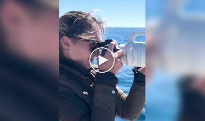 В Калифорнии случайно запечатлели, как тысячи дельфинов пронеслись мимо лодки