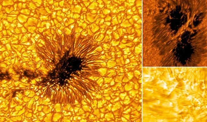 Published new photos of the Sun with incredible detail (9 photos)