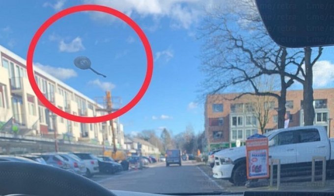 В Нидерландах полицейский устроил погоню за шаром-шпионом (3 фото)