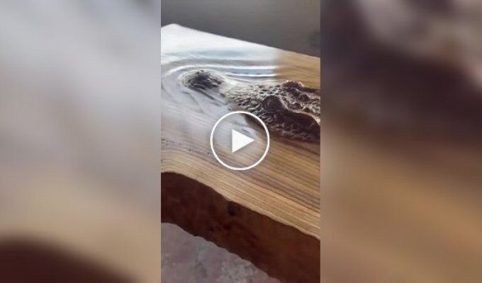 A crocodile inside a wooden countertop