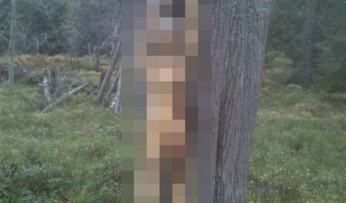 Шведские охотники нашли настоящую жуть (3 фото)