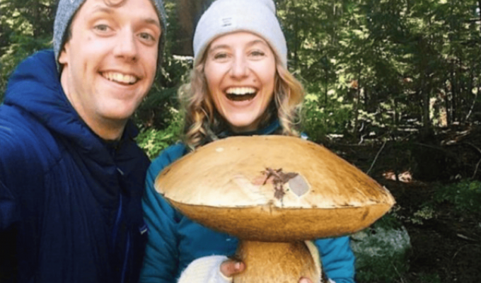 A selection of happy mushroom pickers with their impressive catch (19 photos)