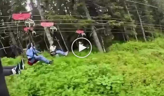 Самый длинный зиплайн в мире: экстремальный спуск на Аляске