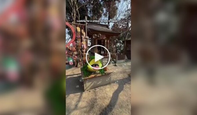Жабий храм в Японии