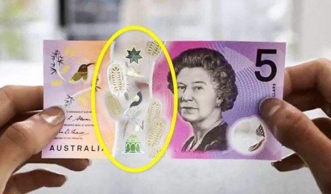 10 секретов, которые помогут вам отличить настоящие банкноты от фальшивых