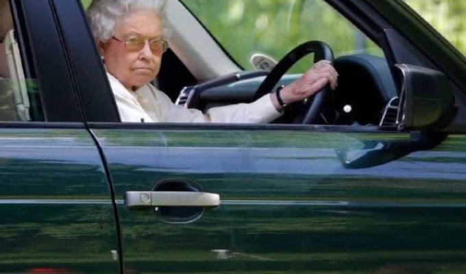 Хорошее настроение по дороге на работу (8 фото)