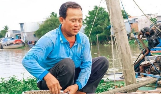 Вьетнамец приручил целую реку рыбок (4 фото + 1 видео)