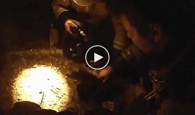 Во время пожара в Белогорске спасатели реанимировали кота