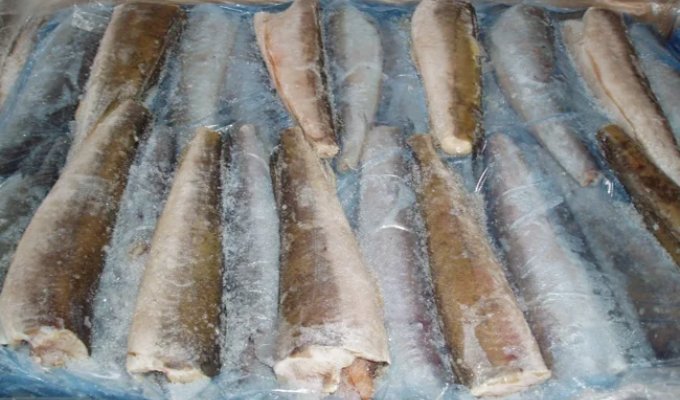 Три вида рыб, которые всегда продаются без головы (8 фото)