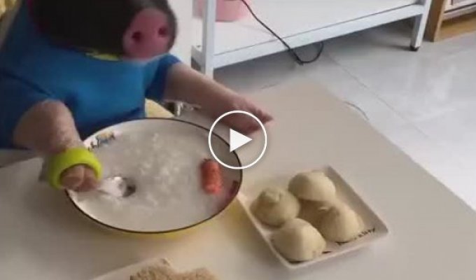Nothing out of the ordinary, just a pig having a cultural lunch