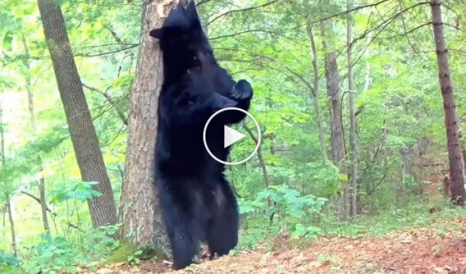 The "scratch your back" mission turned out to be more difficult than expected