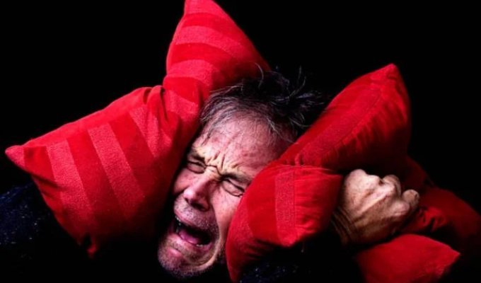 Как выглядит самое тихое место на Земле, где отсутствия звуков сводит с ума (5 фото)