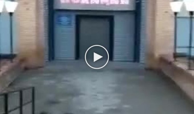 Неизвестный кинул гранату в отдел полиции Тынды, а его знакомый снял это на видео