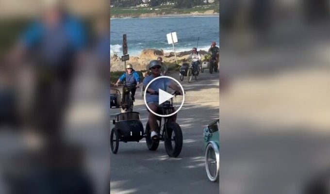 Велопробег корги в люльках