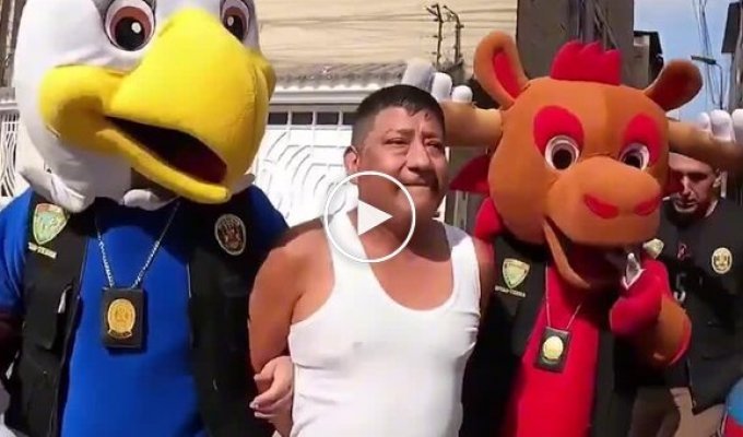 Полицейские из Перу провели облаву на наркоторговца в костюмах талисманов ЧМ по футболу