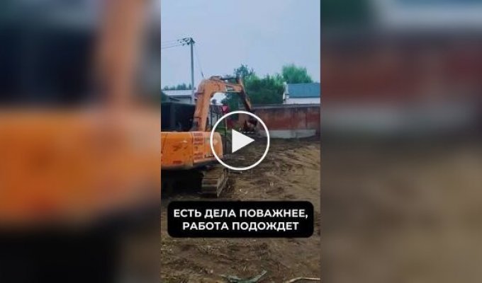 Пес катается в ковше экскаватора