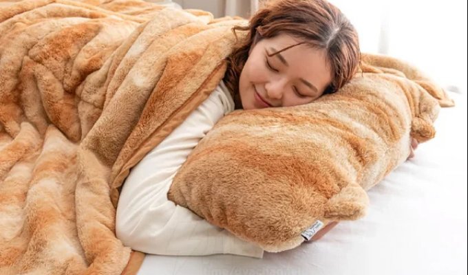 Постельное белье в форме котов (9 фото)